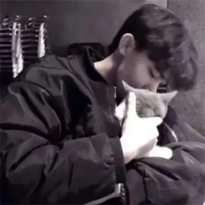 的演奏视频