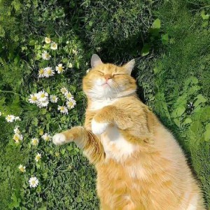 Arthur的钢琴谱