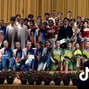 的演奏视频