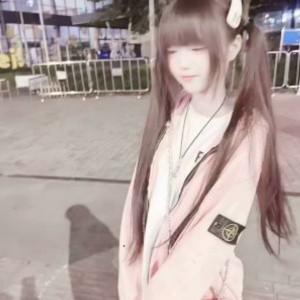 一只v的钢琴谱