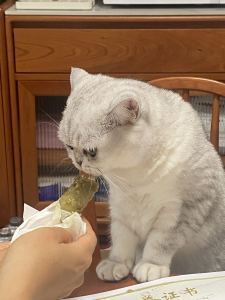 阿唇的钢琴谱