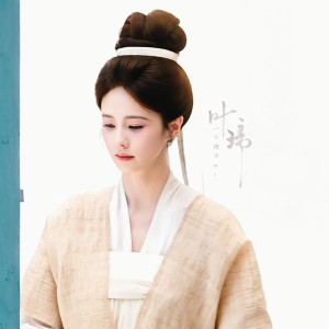 的演奏视频