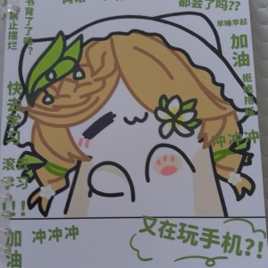 的演奏视频