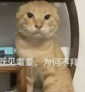 耄耋大帝♛的钢琴谱