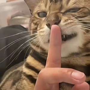 我己气竭🥺放过我吧的钢琴谱