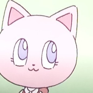 的演奏视频