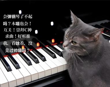 蔡籽油（喜欢C神和Czzy）的钢琴谱