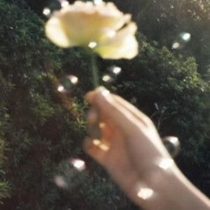 白的个人空间