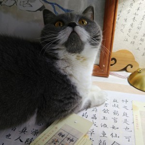 191****1819的个人空间
