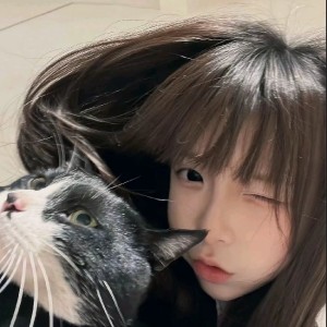tea的钢琴谱