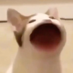 可樂加儿的钢琴谱