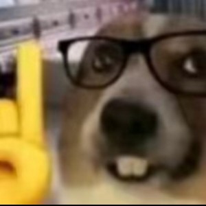 ❗！？豪豪！？的钢琴谱