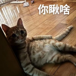 133****5500的钢琴谱