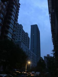 G小调的巴赫的演奏视频