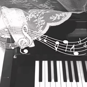的演奏视频