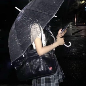 Luvsic的演奏视频