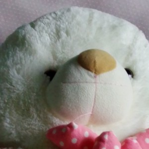 小熊🐻的个人空间