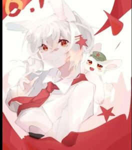 的演奏视频