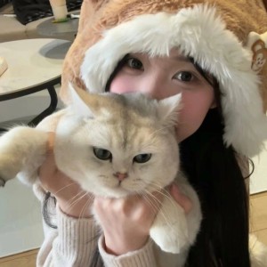 Viola的钢琴谱