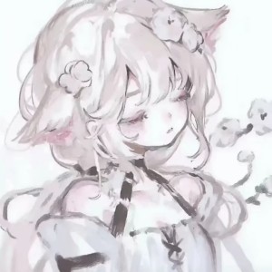 的演奏视频