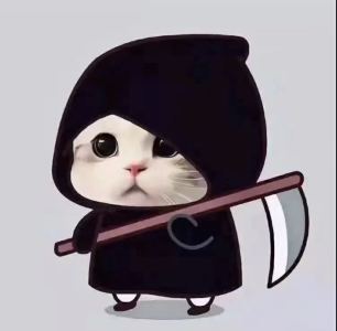 邪恶猫皇的个人空间