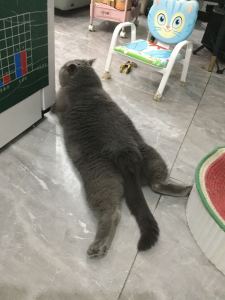 🐦都不🐦你的个人空间