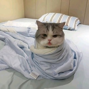 璐瞳的钢琴谱