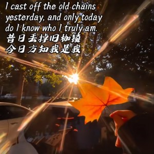182****2018的钢琴谱