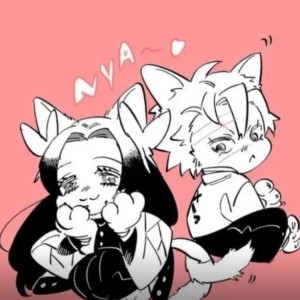 的演奏视频