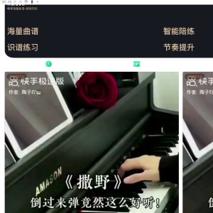 的演奏视频