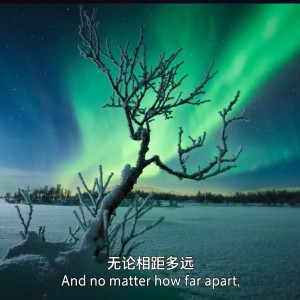 赤伶的演奏视频