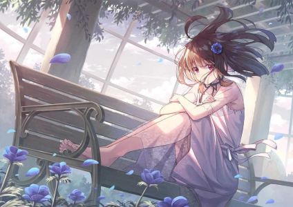 奶油泡芙的个人空间