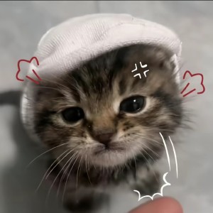 beloved、的钢琴谱