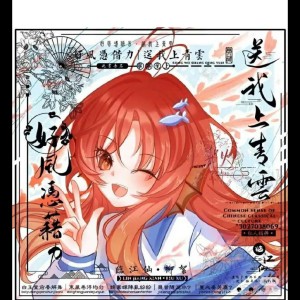 的演奏视频