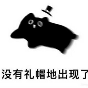 赞美愚者。的钢琴谱