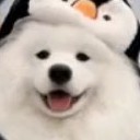 (退)的钢琴谱
