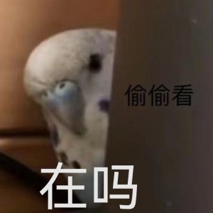 我是老六的钢琴谱