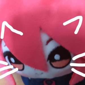 的演奏视频