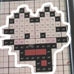 的演奏视频