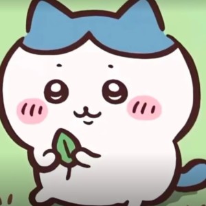 我是小浩浩的个人空间