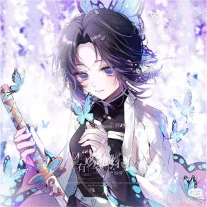 小夜曲的演奏视频