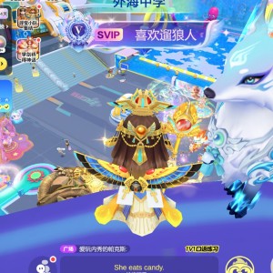 13.杂技演员的演奏视频