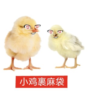 小鸡裹麻袋👁👅👁的钢琴谱