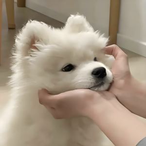 这世界那么多人的演奏视频