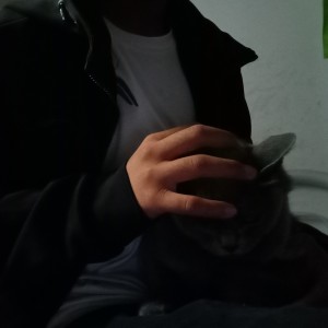 頭上有綠的钢琴谱