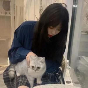 的演奏视频
