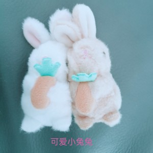 小兔兔爱吃🥕的个人空间
