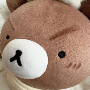 的演奏视频