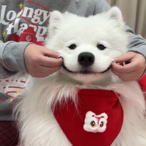 July的钢琴谱
