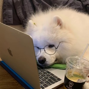 正在输入中…的钢琴谱